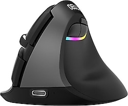 Delux M618 Mini Ergonomik Kablosuz Mouse